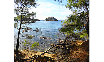 Bormes-les-Mimosas Cabasson